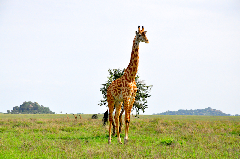 Melanie Heinrich Travel Images Africa